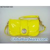 handbag New style in 2009 woman purse with new tags and dust bag