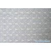 Cotton Lace with Embroidery