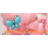 Colorful Butterfly Plastic Designs Buckle for Lady Pink Dress and Garment (HWY20838)