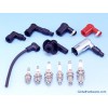 Spark Plugs and Plug Caps