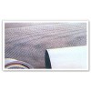 stainless steel mesh