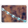 Razor Wire