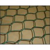 hexagonal mesh