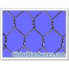 hexagonal wire mesh