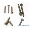 Self Tapping Screw