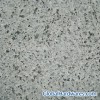 Grey Paving Stone