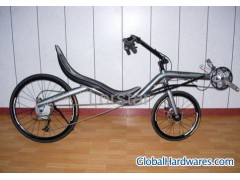 Recumbent Bike图1