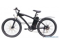 Electric bike(F-EB007)图1