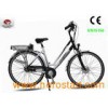 En15194 Electric Bicycle (TDB20Z)