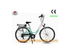 EN15194 Electric Bicycle (TDB01Z)图1