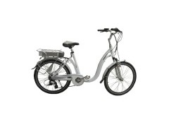 Electirc Bicycle (TDF-23Z)图1