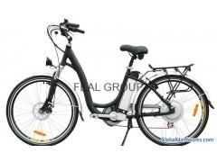 Alloy Electric bike (F-EB001)图1