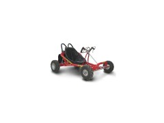 Popular 163C, 196CC Go Kart. Racing Kart图1