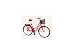 bicycle图1