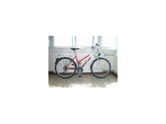 CITY BIKE图1