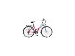 700CX35C Blooming Season F4 Bike图1