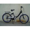 Li e-bike