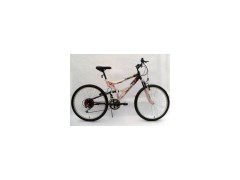 TP-26C0709 bike图1