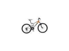 26