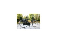 OMA Bike图1