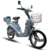 ELECTRIC BICYCLE(Lover tiger)