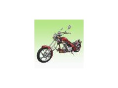 EEC CHOPPER 303图1