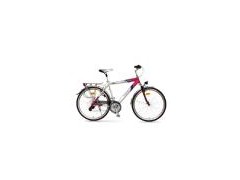Trekking Bike图1