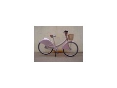Ad Bicycle图1