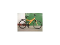 Sell e bike图1