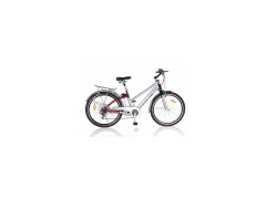 alloy e-bike图1