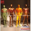 We can supply lots kinds of fashion mannequins