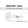 MACHINE SCREWS(CAPTIVE)