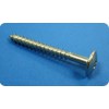 THREAD FORMING SCREW