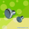 Carriage Bolt