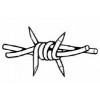 Barbed wire
