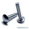 Carriage Bolts