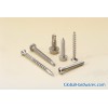 STAINLESS STEEL SELF DRILLING SCREW