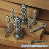 Wood screws