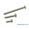 Phillips Drive Pan Head Self-Tapping Screw