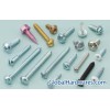 Self Tapping Screws