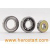 Ceramic Hybrid Bearings