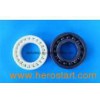 Ceramic Bearing 01