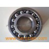 Self-Aligning Ball Bearing (1310)