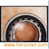Cylindrical Roller Bearing (NU2218ECP/C3)