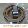 Cylindrical Roller Bearing Nj222