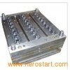 Caps Mould (QH-214)