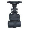 Forged Steel Gate Valve