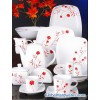 PORCELAIN SQUARE DINNER SET