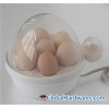 egg boiler