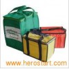 Reusable Nonwoven Cooler Bag